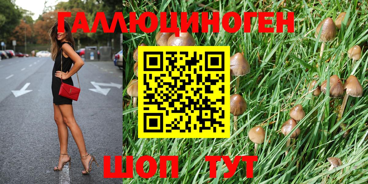 Галлюциногенные грибы мухоморы Гурьевск