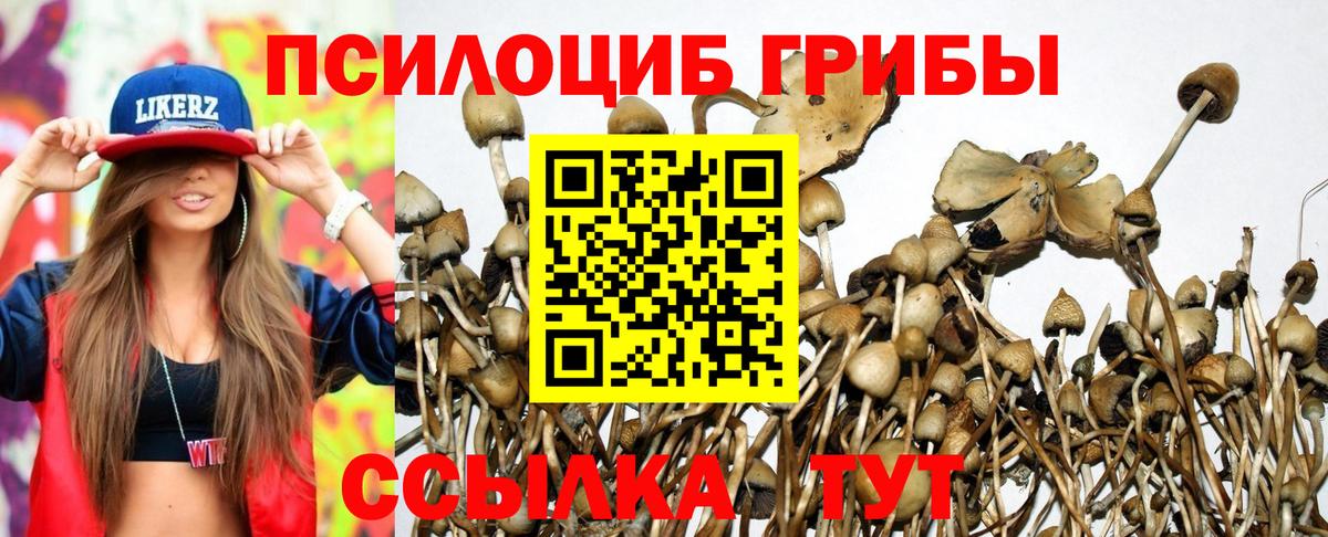  Cocaine Гурьевск