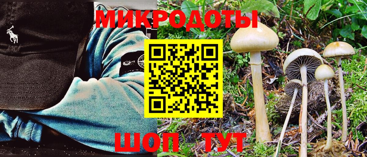 Галлюциногенные грибы Cubensis  Гурьевск 