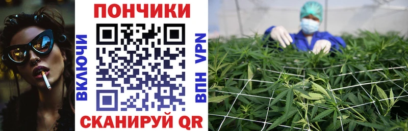 Бошки марихуана THC 21%  mega как войти  Гурьевск 